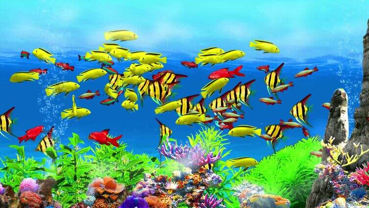 3D海底观赏鱼群 8K宽屏 无缝循环
