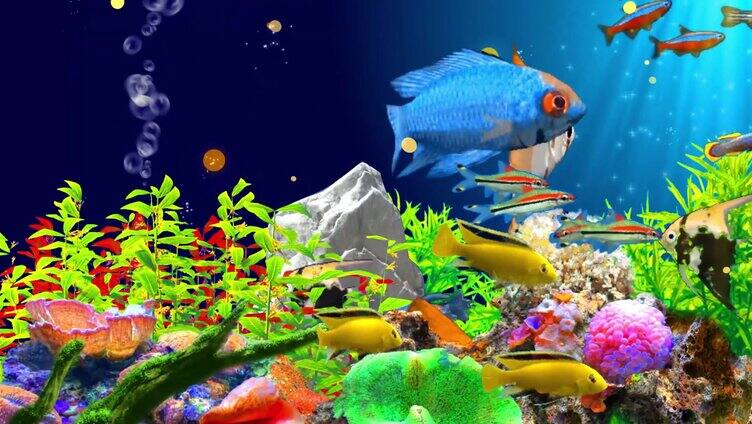 3D海底观赏鱼群 4K宽屏 无缝循环