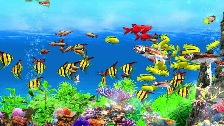 3D海底观赏鱼群  8K宽屏