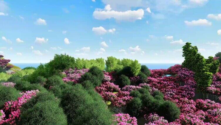 大海小岛树木鲜花飞鸟流云 超高清