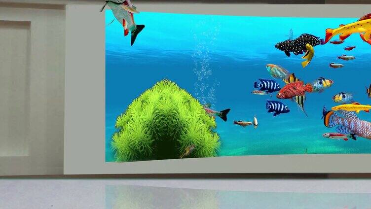 裸眼3D-海底鱼群 4K宽屏 无缝循环