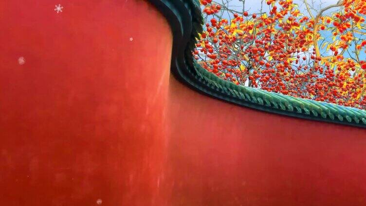 柿子红墙 4K宽屏