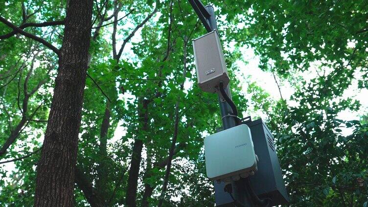 公园监控智能化摄像头「组镜」