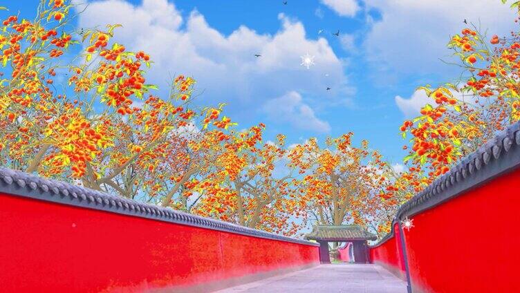 红墙里冬天成熟大红柿子树4K