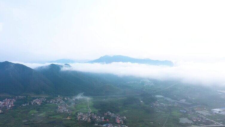 大山晨雾 森林晨雾 云海