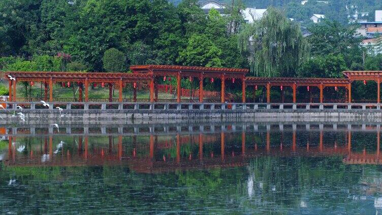 晴天公园小河石拱桥池塘树林白鸽【组镜】
