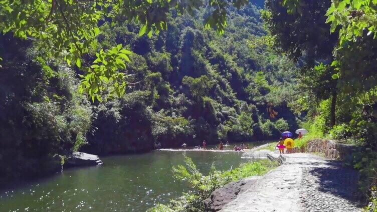 游泳 水库 夏天