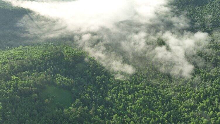 航拍山川绿色林海晨雾