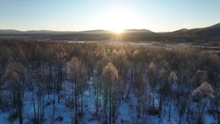 雪原阳光树林唯美雾凇