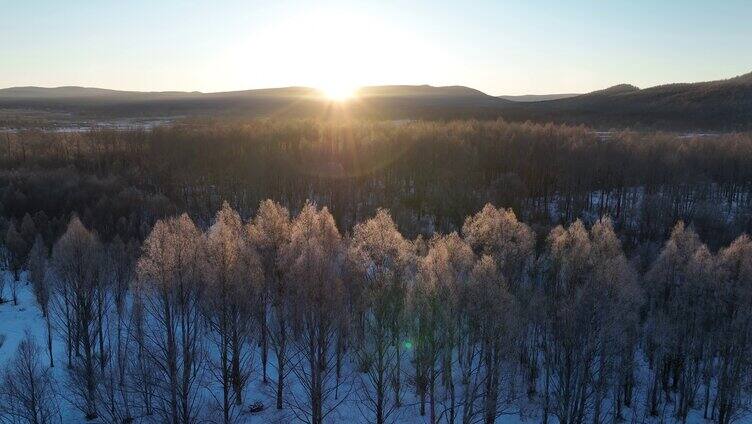 雪原阳光树林唯美雾凇