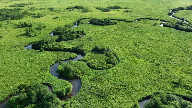 航拍内蒙哈乌尔森林湿地河湾