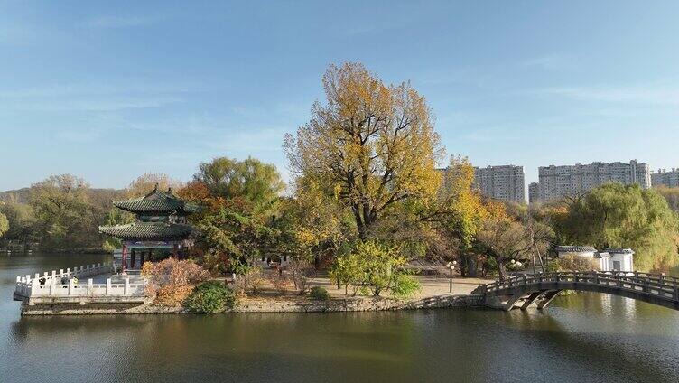 辽宁鞍山市二一九公园秋季风景 