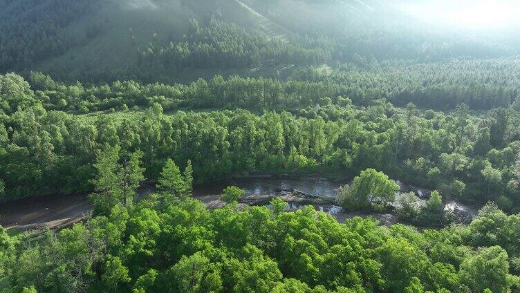 4k大自然森林河流云雾风景