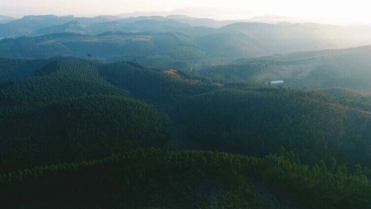 高山 森林 山脉