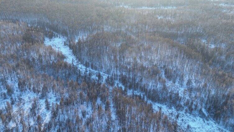 航拍大兴安岭国有林冬季雪景