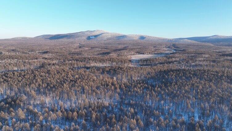 航拍大兴安岭国有林冬季雪景