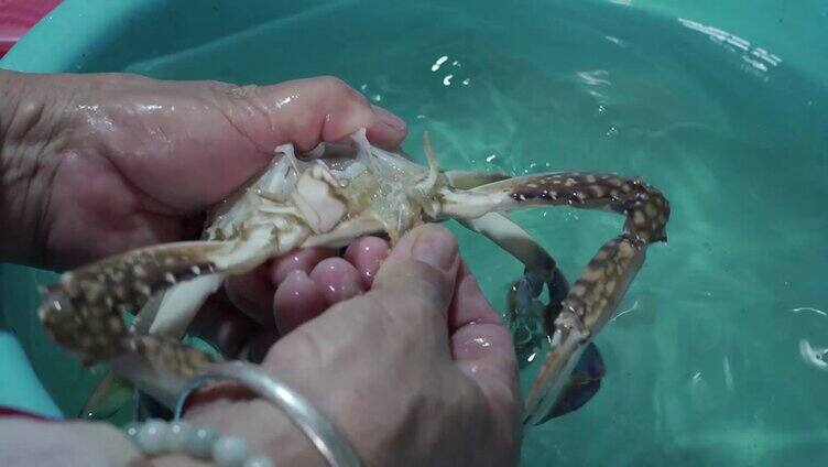 螃蟹 梭子蟹 螃蟹加工