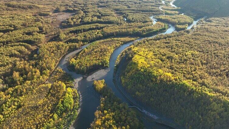 油画般金秋黎明蜿蜒的森林河