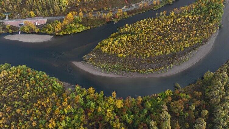 油画般金秋黎明蜿蜒的森林河