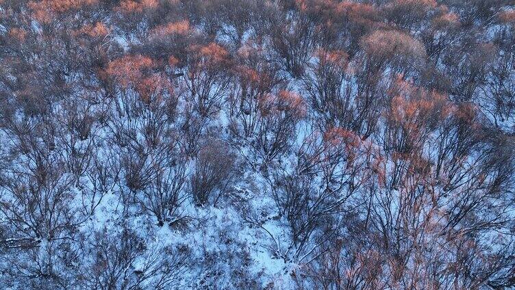 航拍雪原丛林夕照