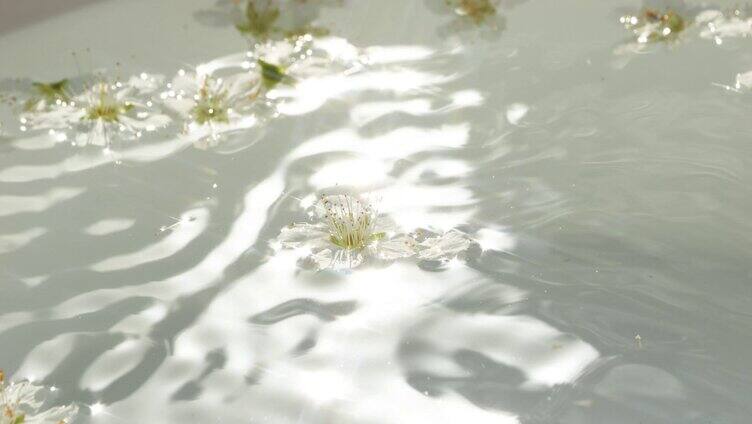 水中荡漾的花朵文艺配图在水中漂浮的花朵
