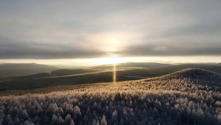 阳光照耀的大兴安岭雪色山林