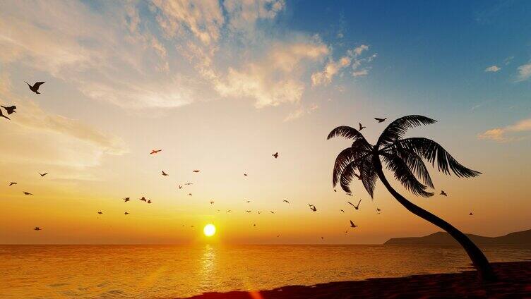 夕阳下的椰林沙滩海鸥