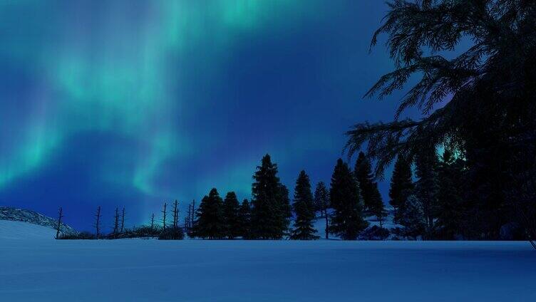 冬天绚丽星空和北极光