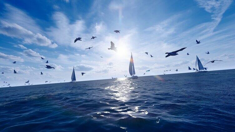 海平面飞翔的海鸥群