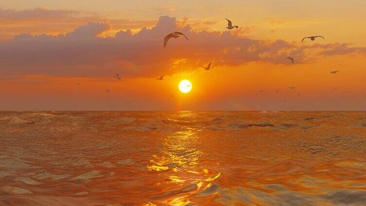 夕阳下的海鸥群