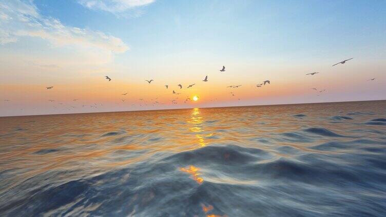 大海海鸥飞翔夕阳下的海鸥