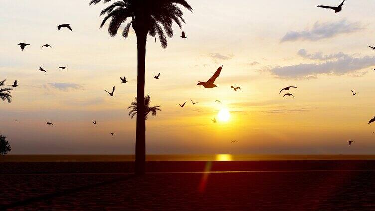 和谐大自然沙滩和海岛上自由飞翔的海鸥