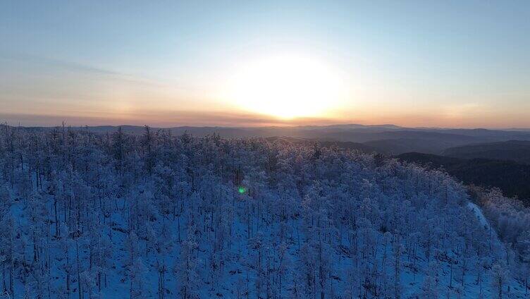 大兴安岭冬季黎明雪色山林