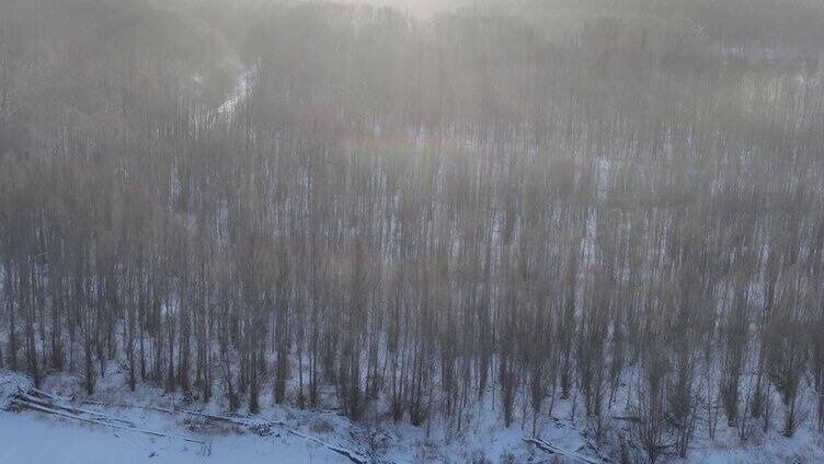 航拍冻雾笼罩的林海雪原朝阳