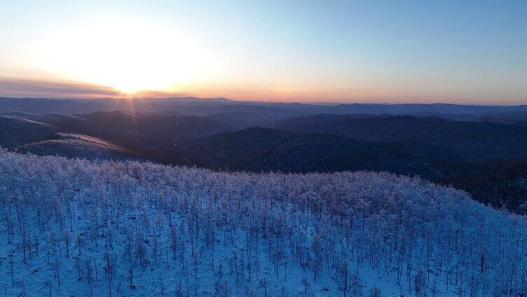 大兴安岭冬季黎明雪色山林