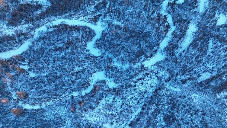 鸟瞰冰雪覆盖的冻土森林湿地