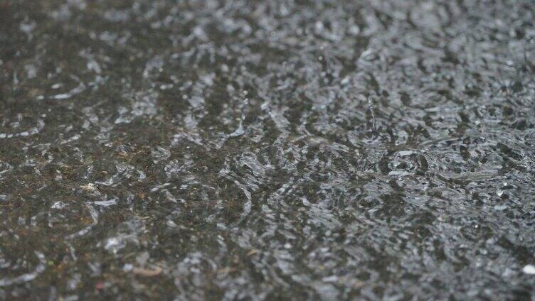 春天雨滴落到地面溅起水花