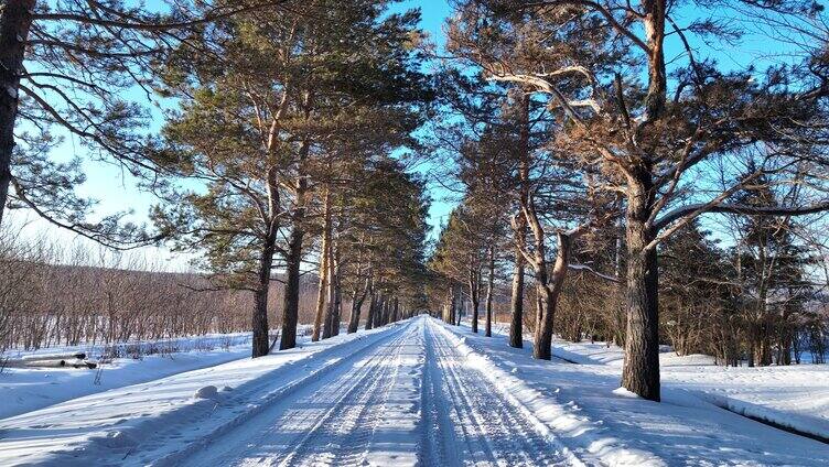 通向林海雪原的林间雪路