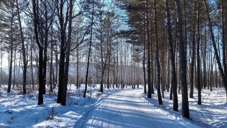 通向林海雪原的林间雪路