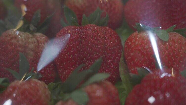 水果 草莓 牛奶草莓