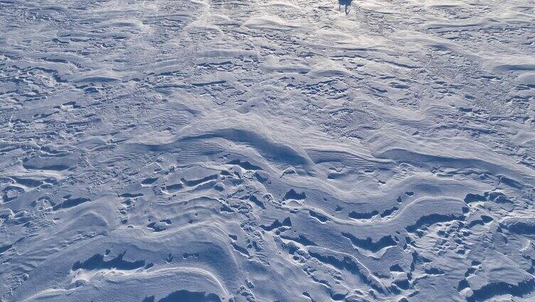 呼伦贝尔草原冬季风吹雪