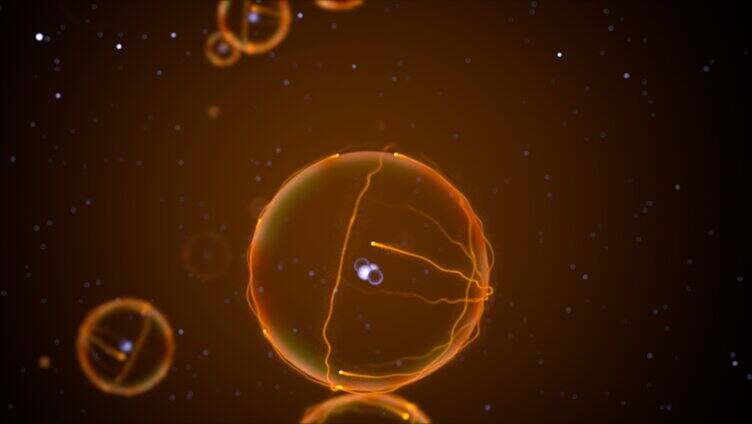 原子细胞【橙色】
