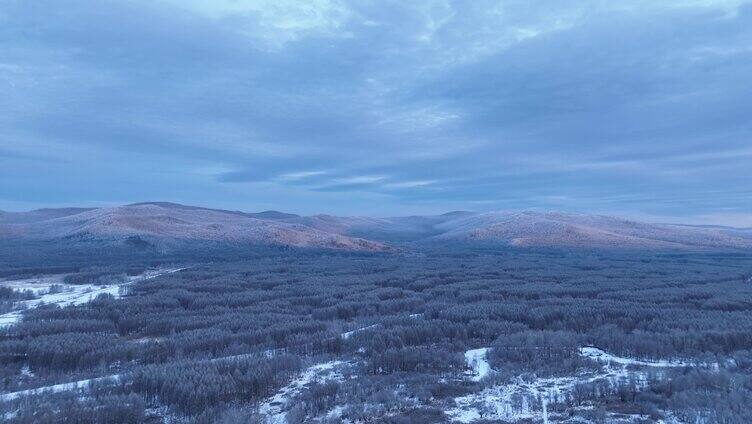 航拍极寒时节黎明时的林海雪原