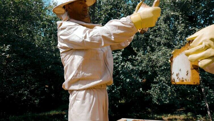 采集蜂蜜割蜂蜜2
