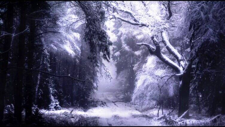 被雪覆盖的树林