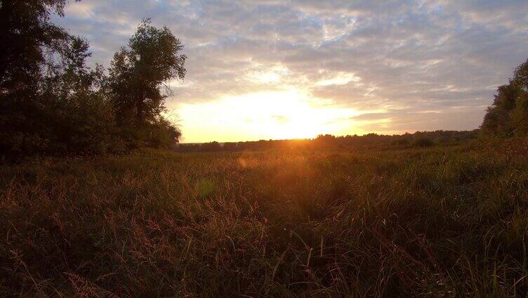 日落下的绿色草地