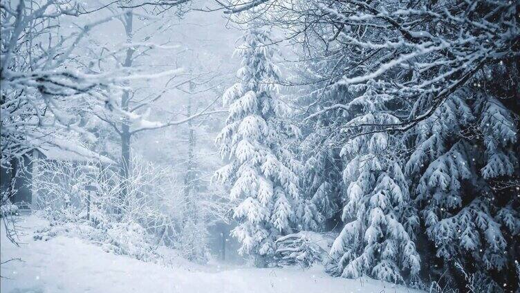 冰天雪地的树林