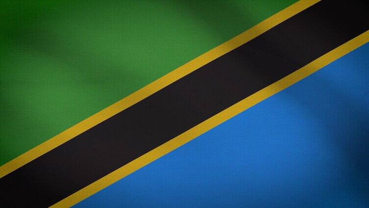 坦桑尼亚国旗飘动视频