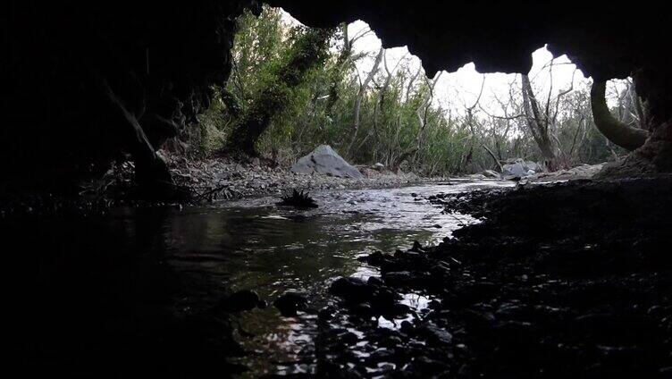 经过山洞的溪流