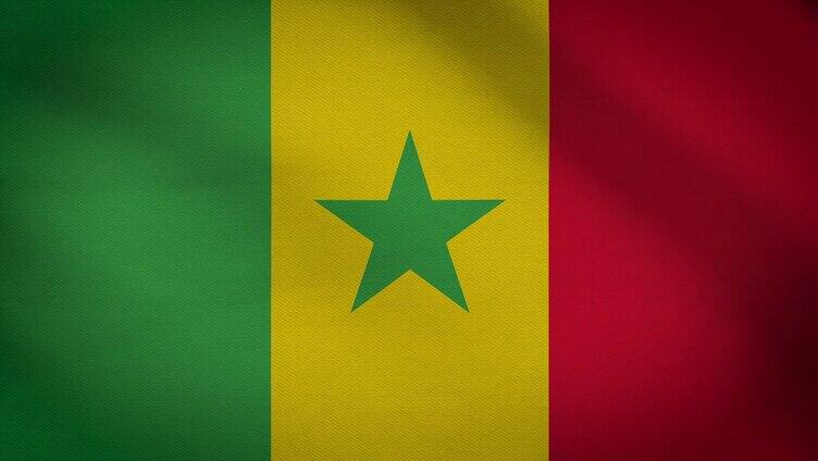 喀麦隆国旗飘动视频